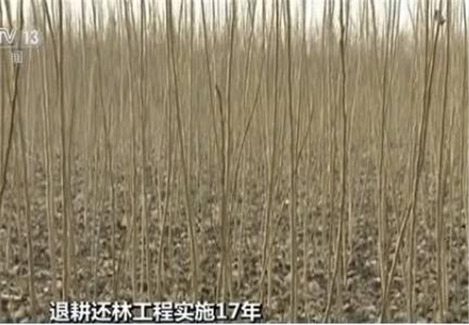 1501049527915329.jpg 1.jpg