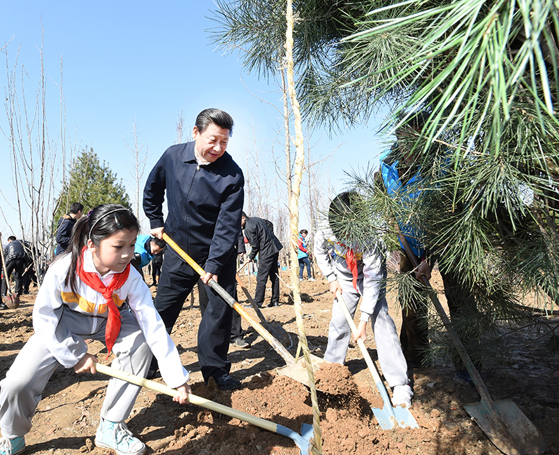 这是习近平同大家一起植树。新华社记者 张铎 摄