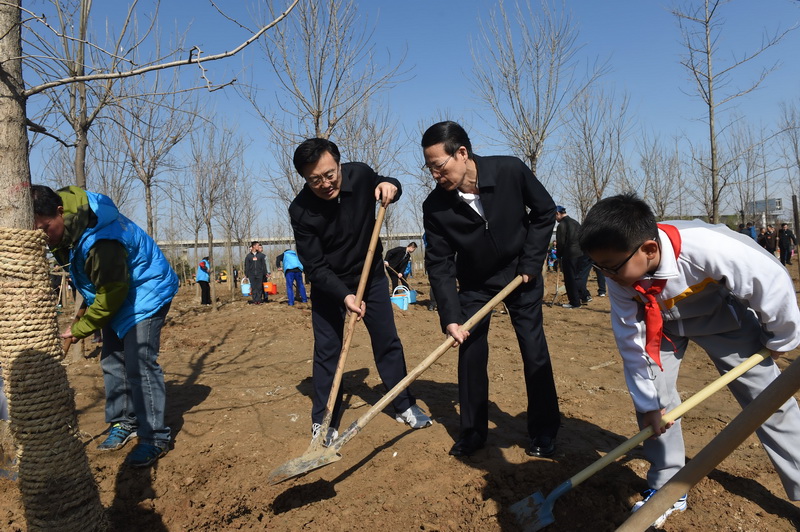 这是张高丽在植树。新华社记者 李学仁 摄