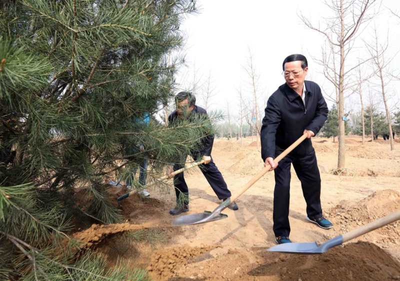 这是张高丽同大家一起植树。新华社记者 刘卫兵 摄