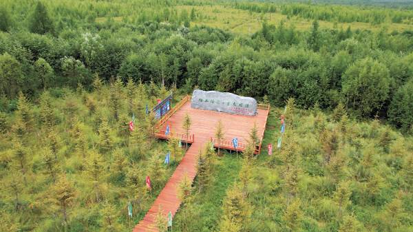 1757904280412162.jpg 2 (1).jpg