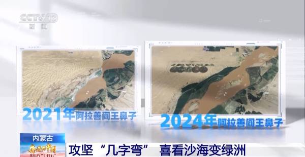 1757998954534565.jpg 1.jpg