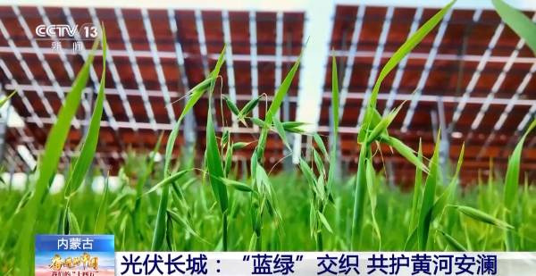 1757999058438233.jpg 8.jpg