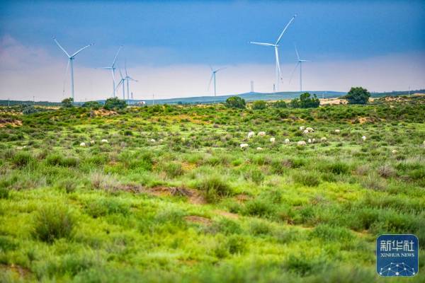 1757999293848222.jpg 10.jpg