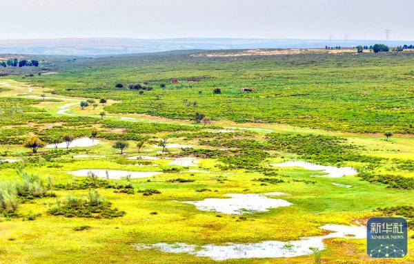 1757999310679374.jpg 11.jpg