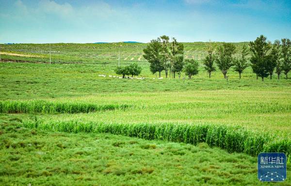 1757999319857120.jpg 12.jpg