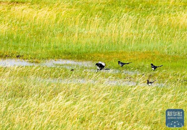 1757999376244817.jpg 16.jpg