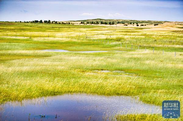 1757999385673280.jpg 17.jpg