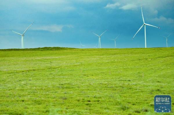 1757999427520516.jpg 23.jpg