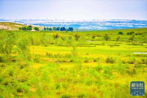 1757999442837272.jpg 25.jpg