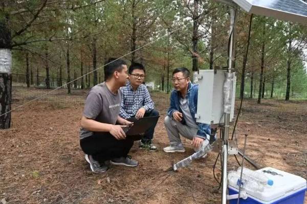 1757999921934496.jpg 1.jpg