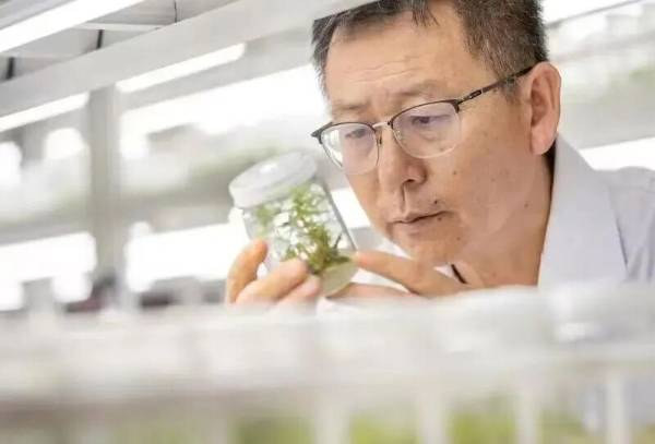 1757999929631055.jpg 2.jpg