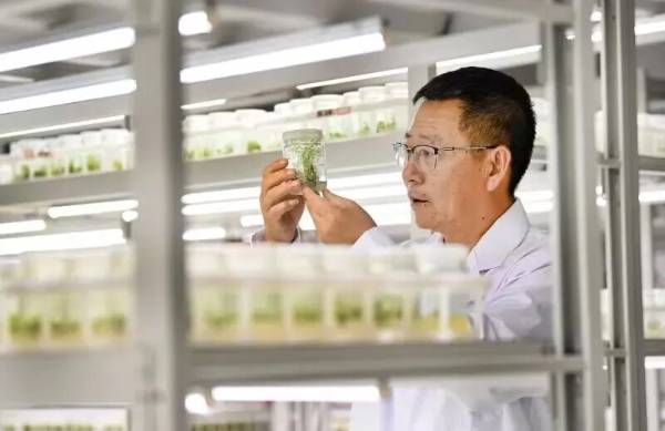 1757999939607359.jpg 3.jpg