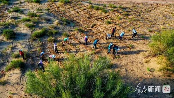 1758000156981487.jpg 7.jpg