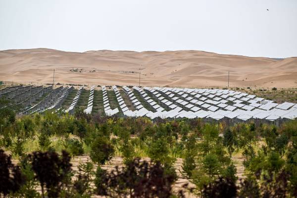 1758079184119135.jpg 2.jpg