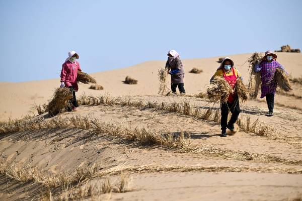 1758079331402111.jpg 8.jpg