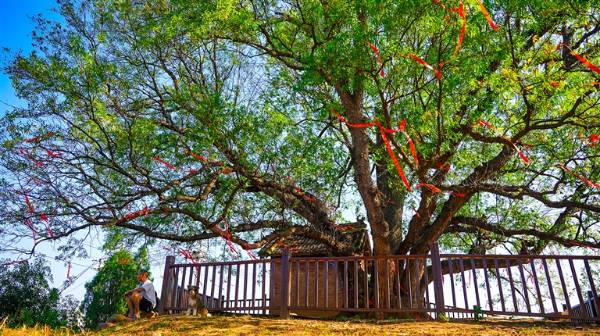 1758684356114584.jpg 2.jpg