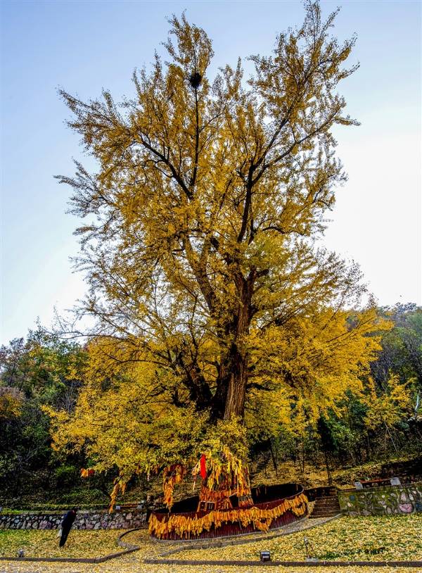 1758684361583904.jpg 3.jpg