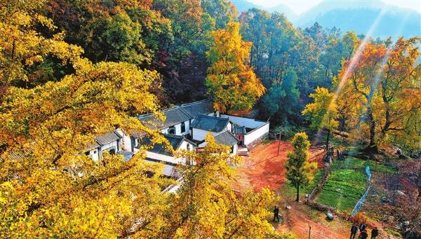 1758684375157496.jpg 5.jpg