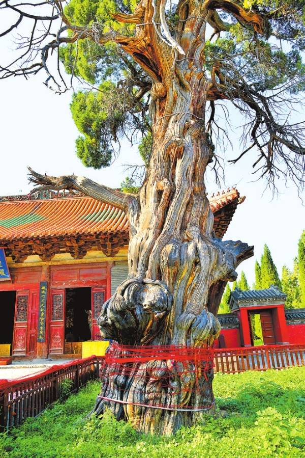 1758684382291720.jpg 6.jpg