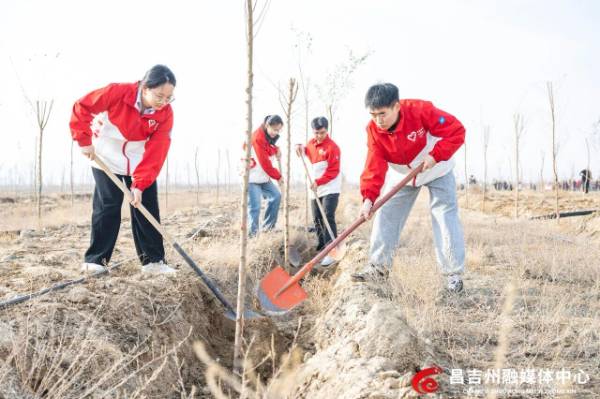 1761186028333971.jpg 4 (1).jpg