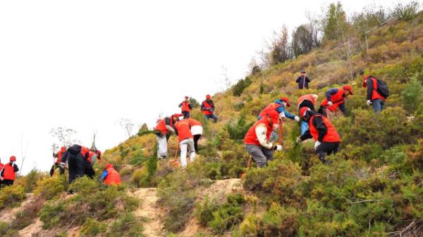 1761186192826528.jpg 1.jpg