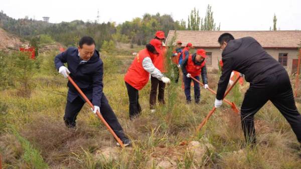 1761186196471417.jpg 2.jpg