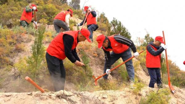 1761186199852604.jpg 3.jpg