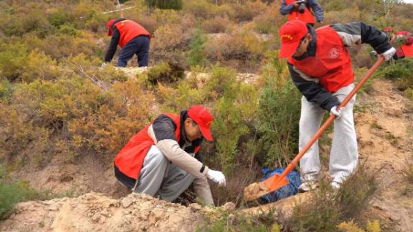 1761186209728810.jpg 5.jpg