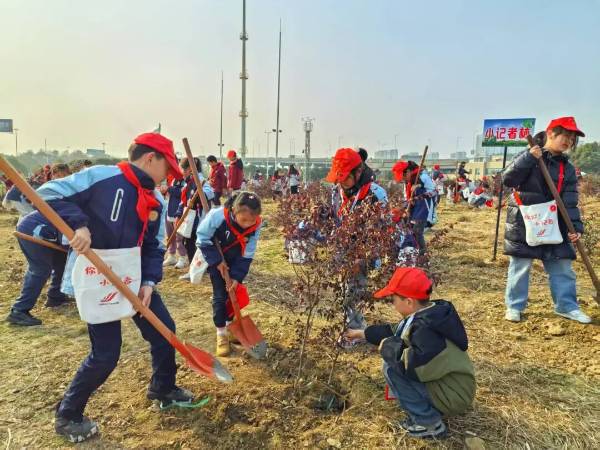 1761703949238256.jpg 4.jpg