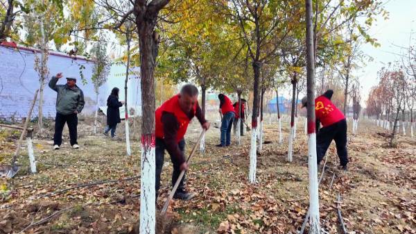 1762138935375138.png 1.png