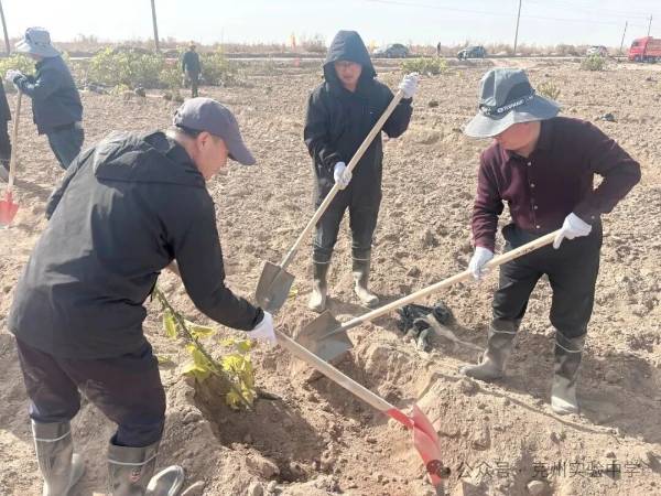 1762139875504268.jpg 6.jpg