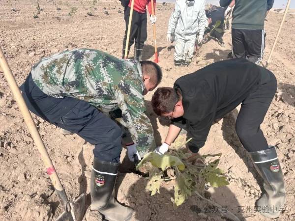 1762139879213126.jpg 7.jpg