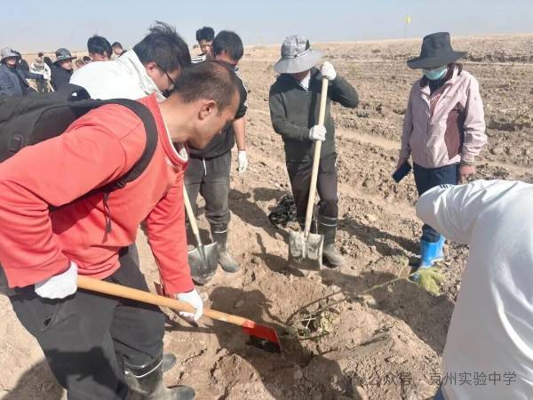 1762139888317657.jpg 9.jpg