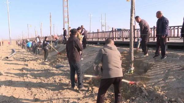 1762225986551991.jpg 1 (1).jpg