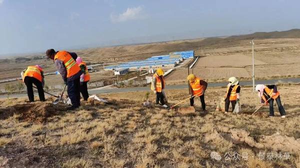 1762226432783348.jpg 6 (1).jpg