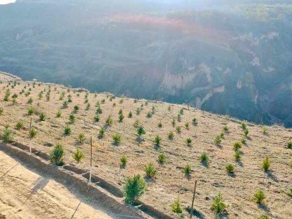 1762326060917143.jpg 3 (1).jpg