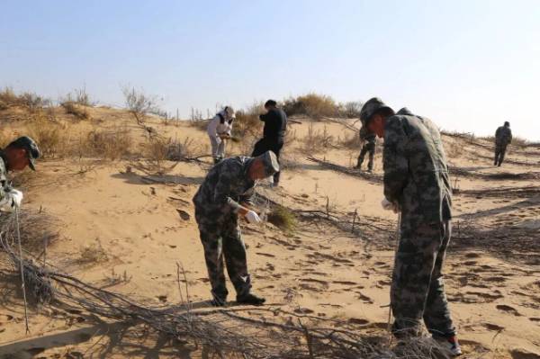 1762327180187655.jpg 4 (1).jpg