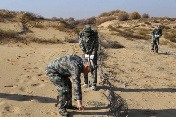 1762327196566170.jpg 5 (1).jpg