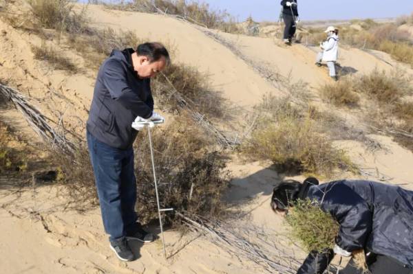 1762327204939641.jpg 6 (1).jpg