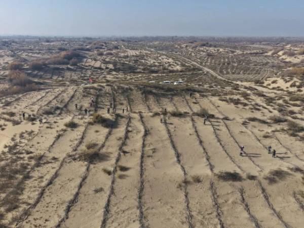 1762327213817189.jpg 7 (1).jpg