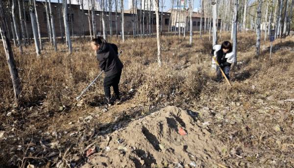 1762398451836486.png 1.png