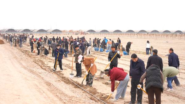 1762411584300422.png 6.png