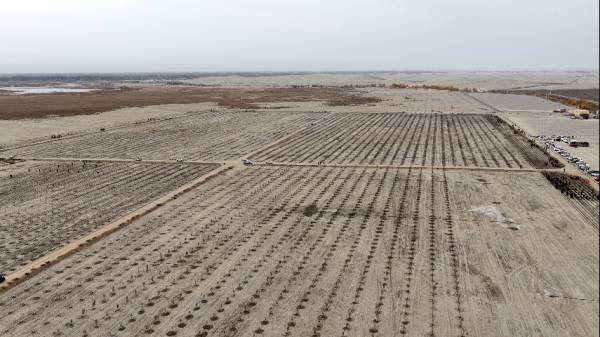 1762411593201081.png 7.png