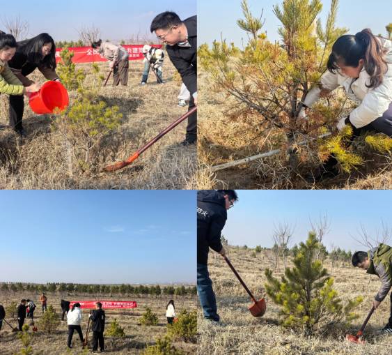 1762413039322719.jpg 4 (1).jpg