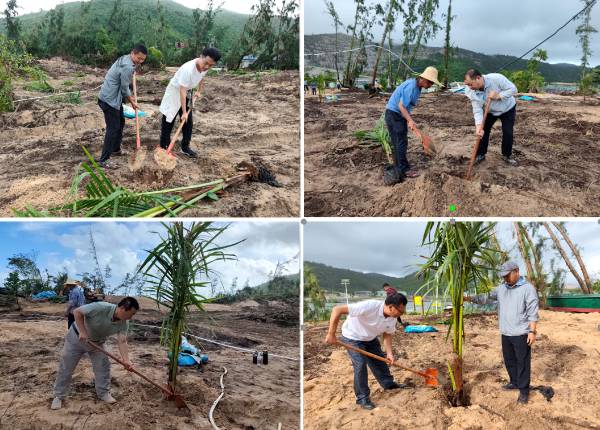 1762740782481478.png 3.png