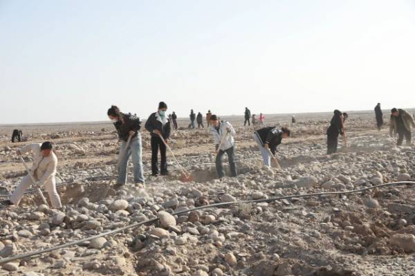 1762915074485659.jpg 2.jpg