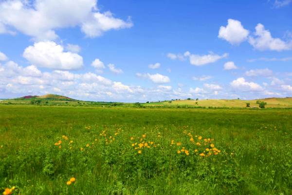 1763017186447638.png 4.png