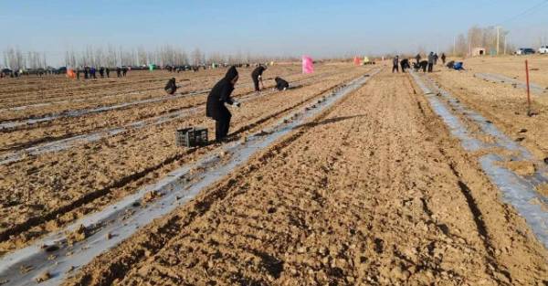 1763017297165507.jpg 8.jpg