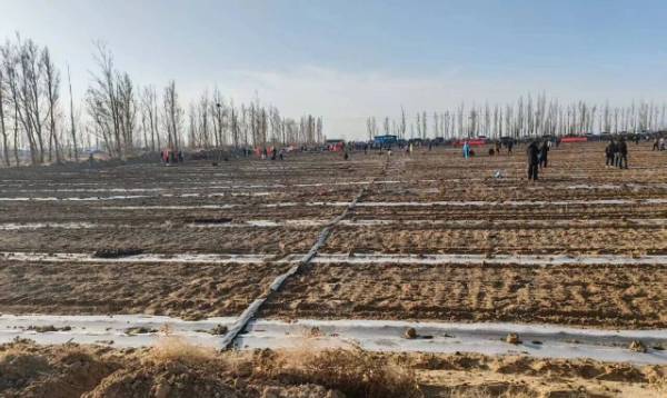 1763017324355642.jpg 9.jpg